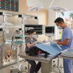 Hospitalización veterinaria 24 horas ahora disponible en BlackVet Coquimbo: Cuidado continuo y profesional día y noche