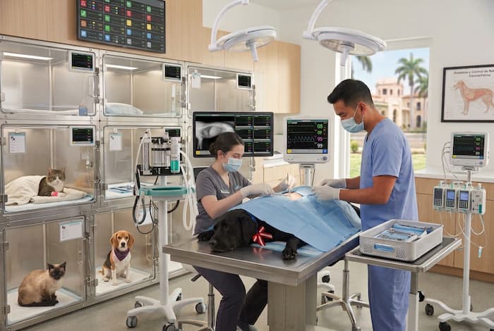 Hospitalización <br>24 Horas