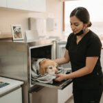 BlackVet es nuevo Centro de Acopio en Frío para Crematorio de Mascotas La Serena: Un apoyo respetuoso y coordinado en los momentos difíciles